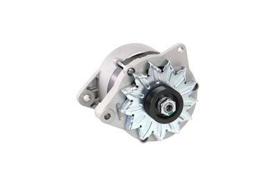 GENERATOR / ALTERNATOR REMANTE 011003000065R 58