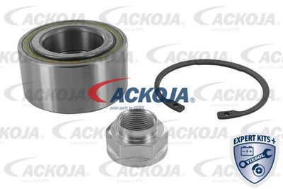Комплект подшипника ступицы колеса ACKOJA A26-0070 для ACURA RSX