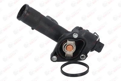 FLANSA LICHID RACIRE BIRTH 81036 7