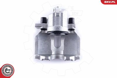 Brake Caliper 50SKV981