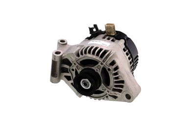 GENERATOR / ALTERNATOR REMANTE 011003000334R 61