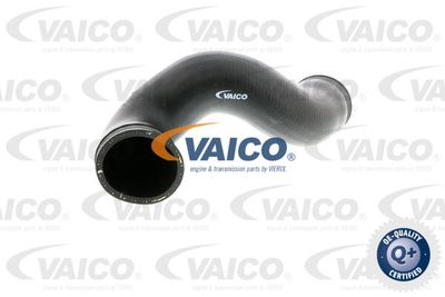 Трубка нагнетаемого воздуха VAICO V10-2839 для AUDI CABRIOLET