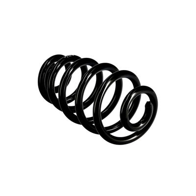 ARC SPIRAL EIBACH R10574 10