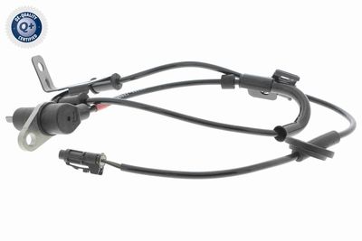 SENZOR TURATIE ROATA