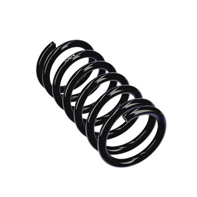 ARC SPIRAL EIBACH R13306 11