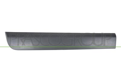 ZIER-/SCHUTZLEISTE TüR