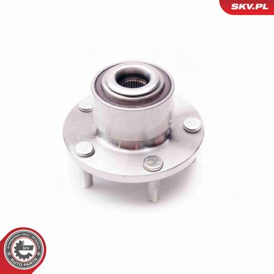 SET RULMENT ROATA ESEN SKV 29SKV081 1