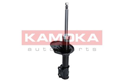 Shock Absorber 2000208