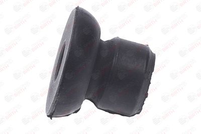 BUCSA ARBORE DE DIRECTIE BIRTH 40641 10