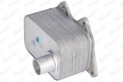 RADIATOR ULEI ULEI MOTOR BIRTH 8961 3