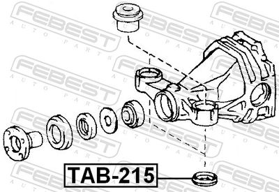 RULMENT DIFERENTIAL FEBEST TAB215 1