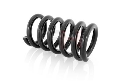 ARC SPIRAL GH GH202506 28