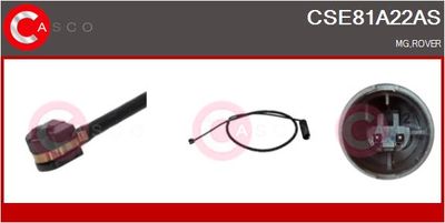 SENZOR DE AVERTIZARE UZURA PLACUTE DE FRANA