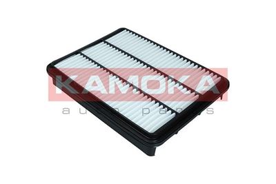 Air Filter F248701