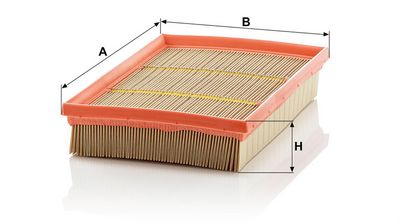 LUFTFILTER MANN-FILTER C2589 1