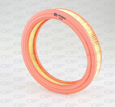 Воздушный фильтр OPEN PARTS EAF3196.20 для FIAT X