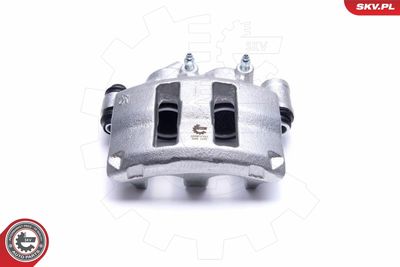 Brake Caliper 55SKV151