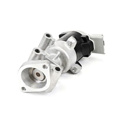 AGR-VENTIL DELPHI EG1052912B1 21