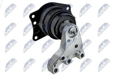 ZPS-WW-081