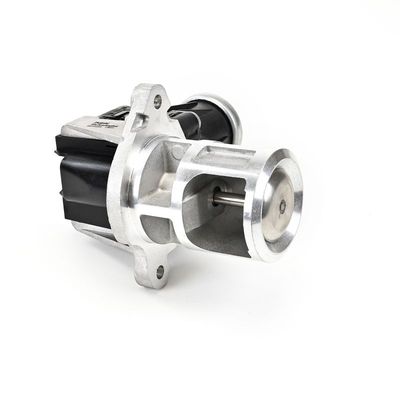 SUPAPA EGR DELPHI EG1065812B1 5