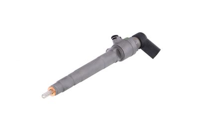 INJECTOR REMANTE 002003001053R 62