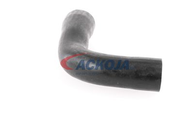 FURTUN EAR SUPRAALIMENTARE ACKOJA A389600 43