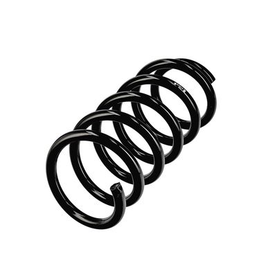 ARC SPIRAL EIBACH R10978 15