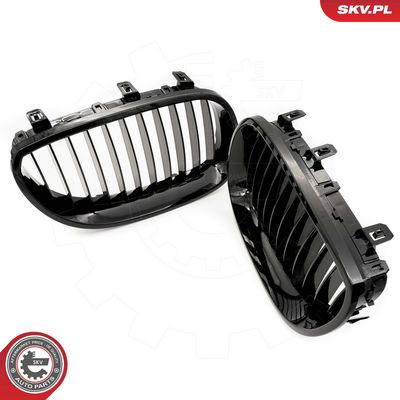 GRILA RADIATOR ESEN SKV 66SKV165 2