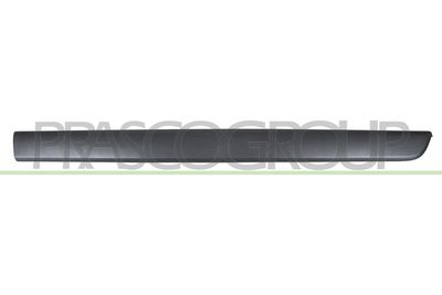 ZIER-/SCHUTZLEISTE TüR