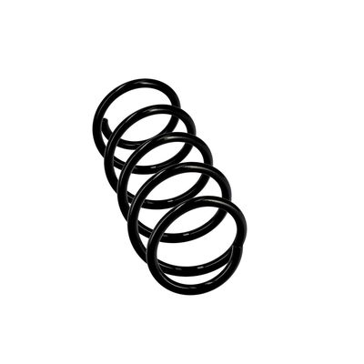 ARC SPIRAL EIBACH R10116 24