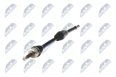 PLANETARA NTY NPWRE215 19