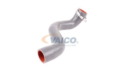 FURTUN EAR SUPRAALIMENTARE VAICO V460823 51