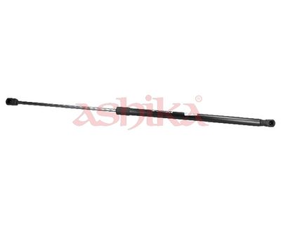 ZSA02093