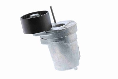 INTINZATOR CUREA CUREA DISTRIBUTIE