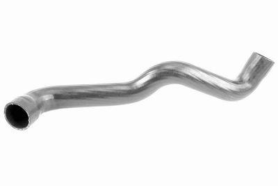 FURTUN EAR SUPRAALIMENTARE