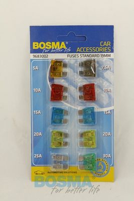Kaitse BOSMA 2591