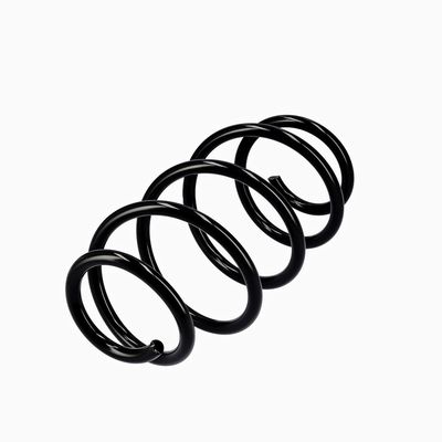 ARC SPIRAL EIBACH R10302 15