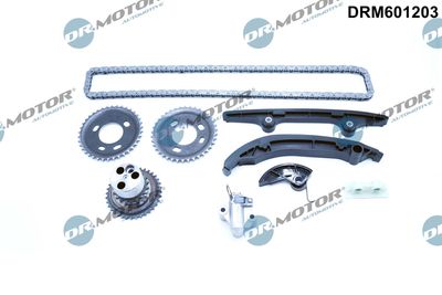 Timing Chain Kit DRM601203