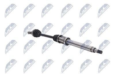 PLANETARA NTY NPWFR028 29