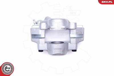 Brake Caliper 45SKV862