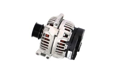 GENERATOR / ALTERNATOR REMANTE 011003000335R 19