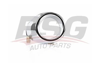 Облицовка, противотуманная фара BSG BSG 30-921-010 для FORD FIESTA