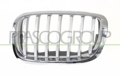 PRASCO BM8402034 Решетка радиатора  для BMW X6 (Бмв X6)