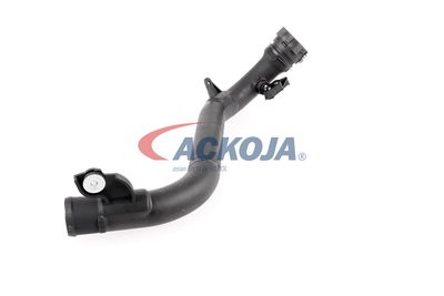 FURTUN EAR SUPRAALIMENTARE ACKOJA A380387 51