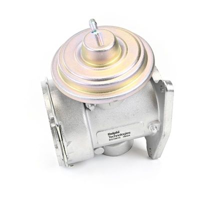 SUPAPA EGR DELPHI EG1061512B1 25