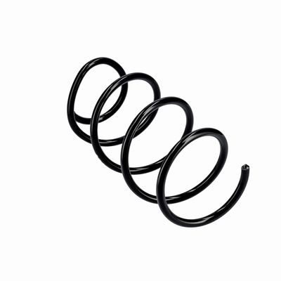 ARC SPIRAL EIBACH R10875 11