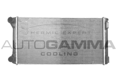 Радиатор, охлаждение двигателя AUTOGAMMA 102061 для FIAT PUNTO