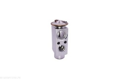 SUPAPA EXPANSIUNE CLIMA AUTOMEGA 160064110 2