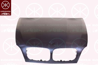 Капот двигателя KLOKKERHOLM 0096281 для BMW X5