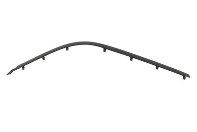 Bumperbekleding Voor Links (zwart) past: BMW 5 E39 11.95-09.00